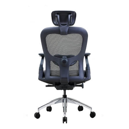 เก้าอี้เพื่อสุขภาพ DF PROCHAIR รุ่น Wonder-H สีดำ_5
